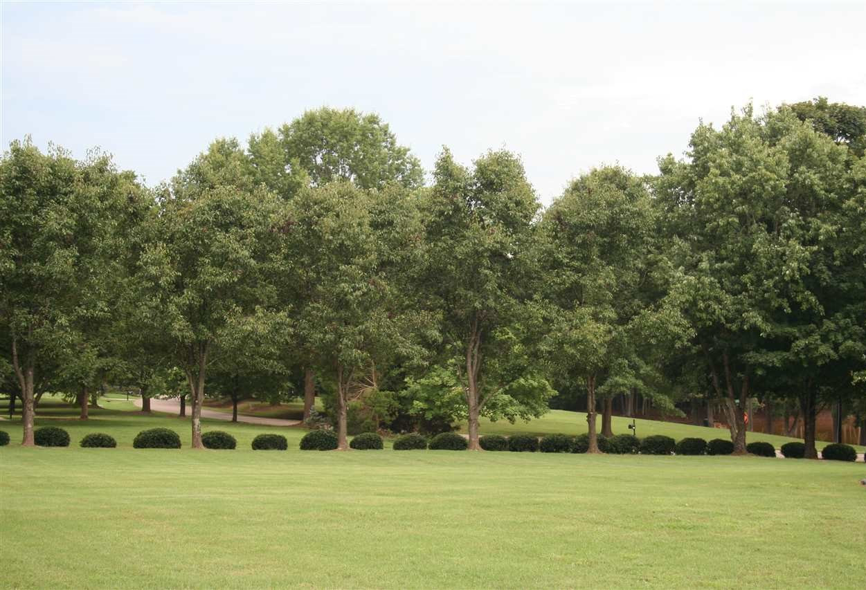 5200 Fielding Drive Raleigh, NC 27606 - Photo 24 of 25 Photo 24