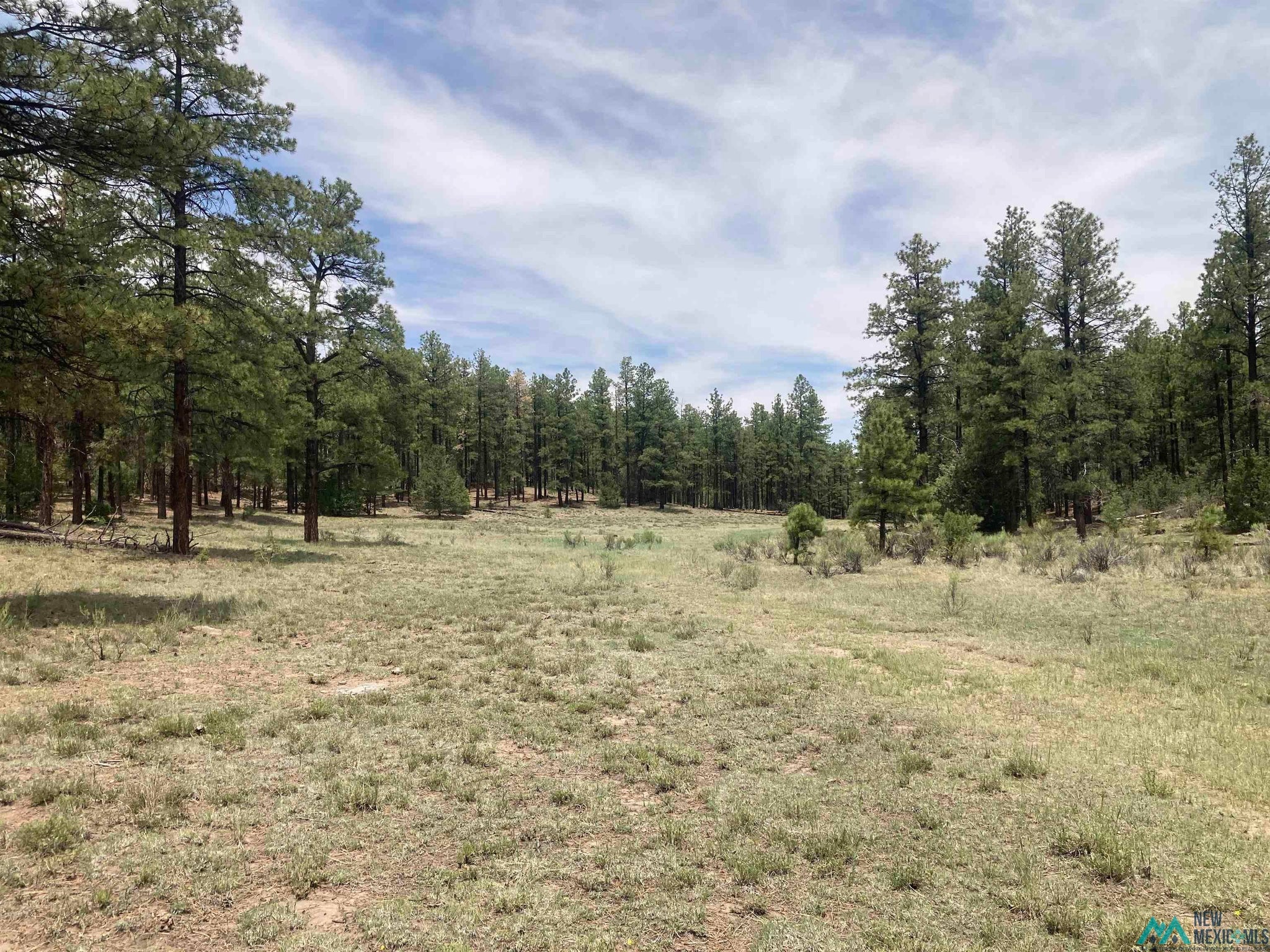 1 Forest Rd100 Road Canones, NM 87516 - Photo 19 of 39 Gallery Image 19