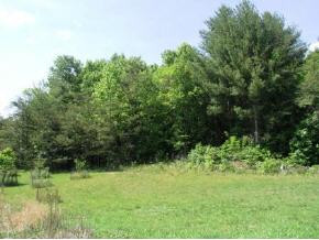 624 Browns Branch Road Hampton, TN 37658 - Photo 7 of 9 Photo 7
