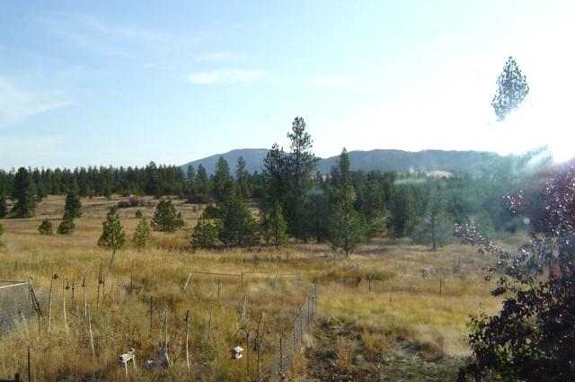 11907 South Madison Road Valleyford, WA 99036 - Photo 5 of 7 Gallery Image 5