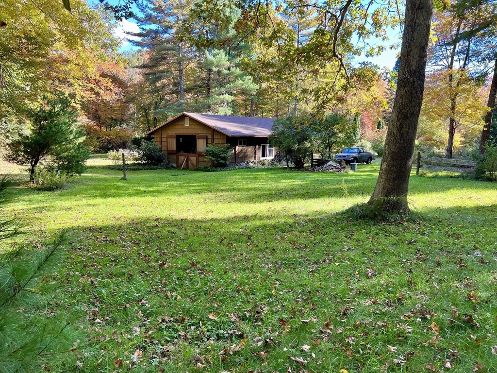 128 Danforth Street Rehoboth, MA 02769 - Photo 3 of 39 a yellow house in middle of the forest