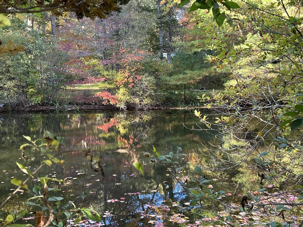 128 Danforth Street Rehoboth, MA 02769 - Photo 37 of 39