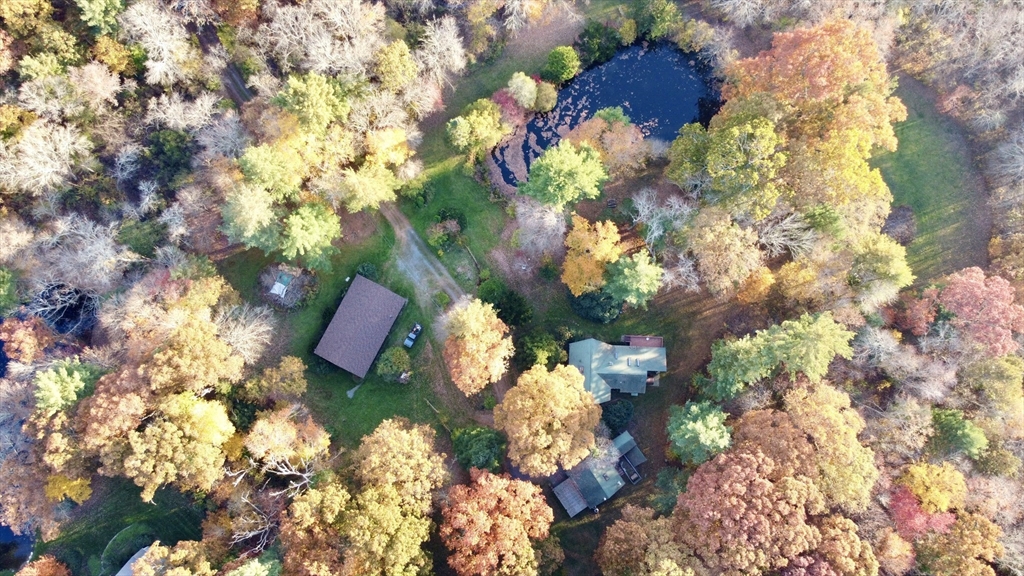 128 Danforth Street Rehoboth, MA 02769 - Photo 38 of 39 a picture of tree