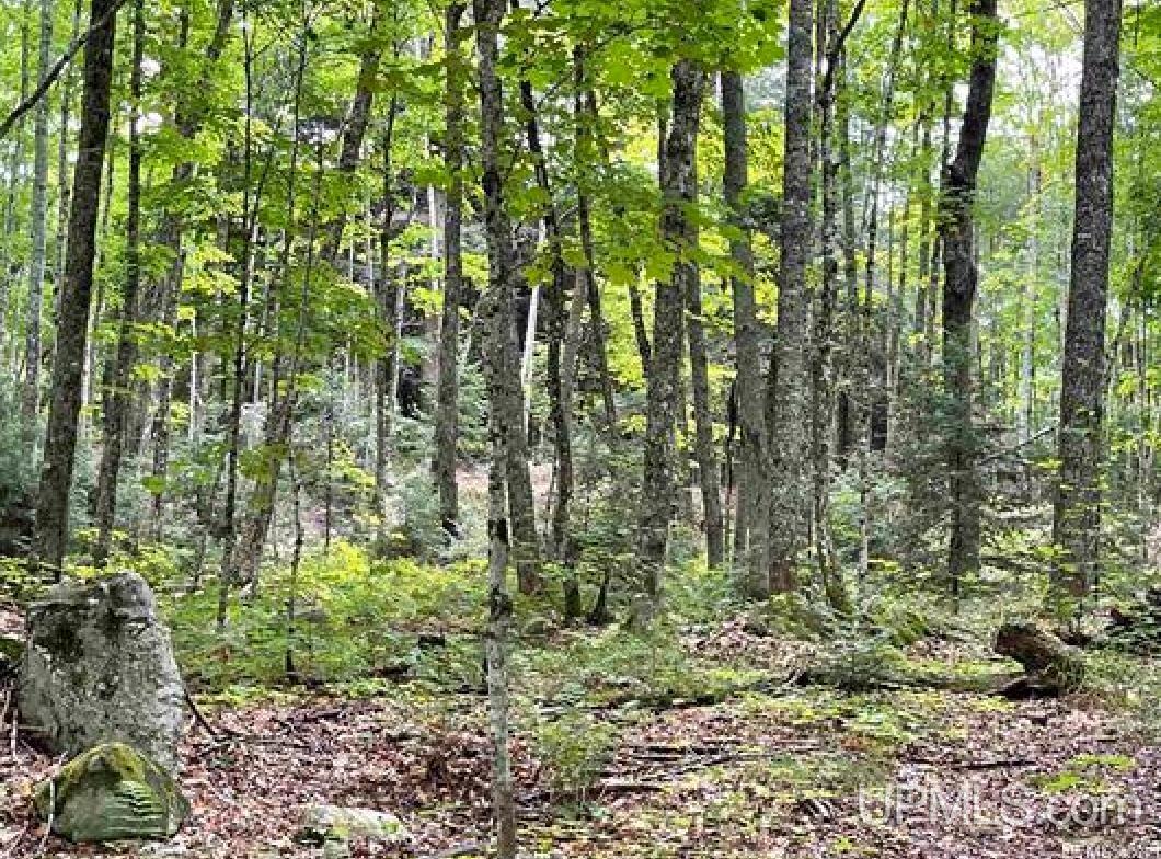 Tbd Tbd Loon Lake Road Michigamme, MI 49861 - Photo 8 of 10