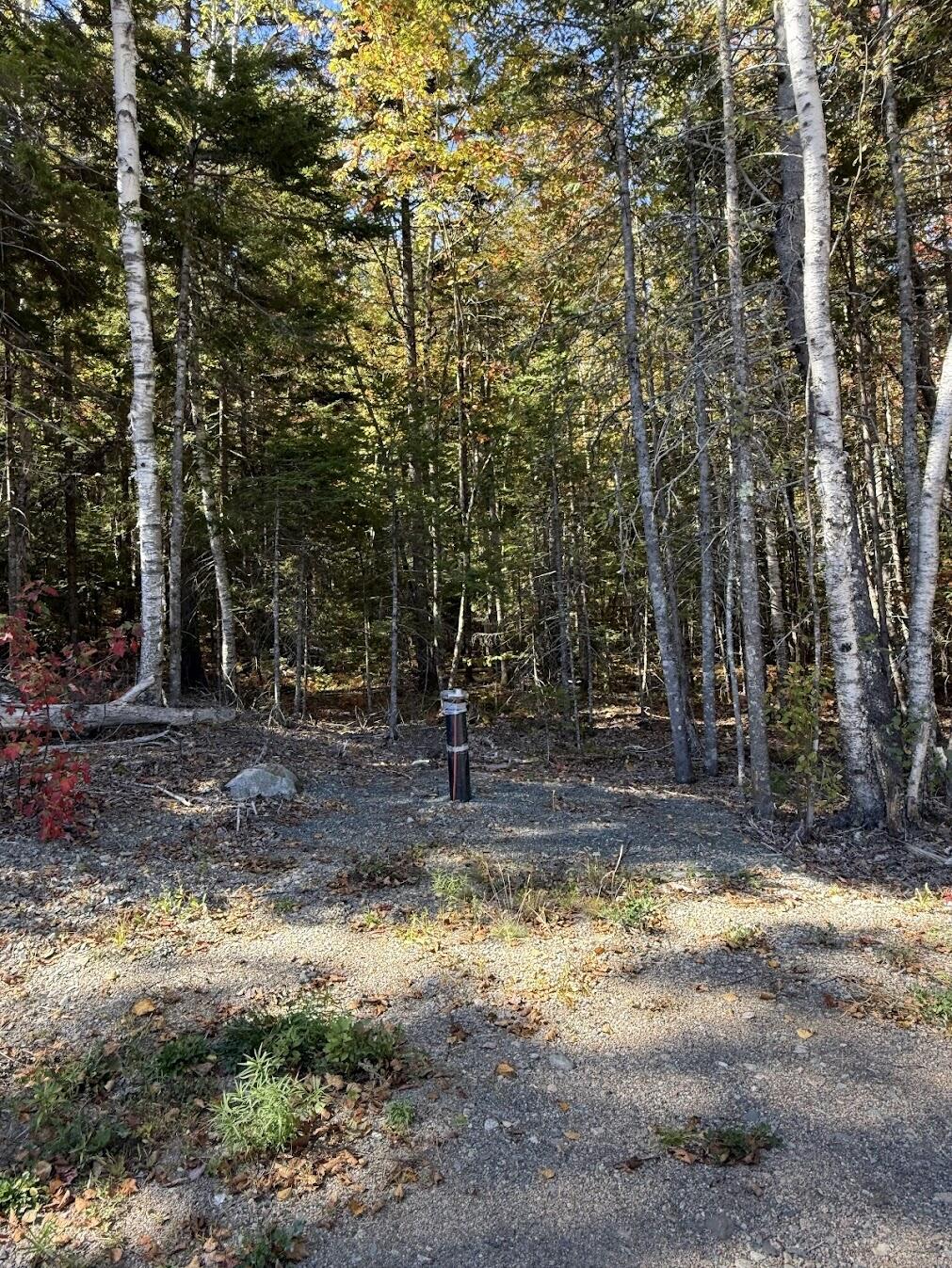 202 Ayers Junction Road Pembroke, ME 04666 - Photo 2 of 46 IMG_8769
