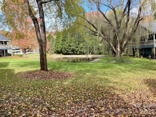 a view of a yard with plants and trees