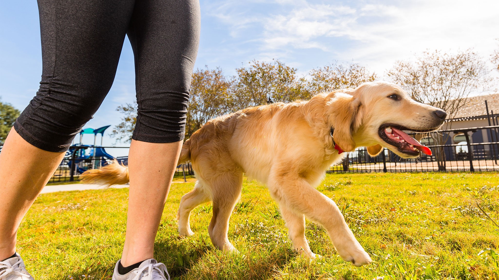 20514 Bronco Rdg Drive Tomball, TX 77377 - Photo 19 of 19 a view of a swimming pool