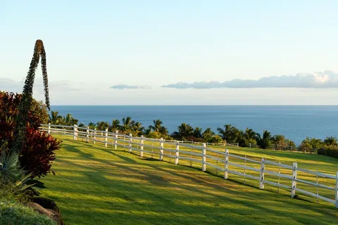 $9,500,000 | 65 Wili Okai Way, Lahaina, HI 96761