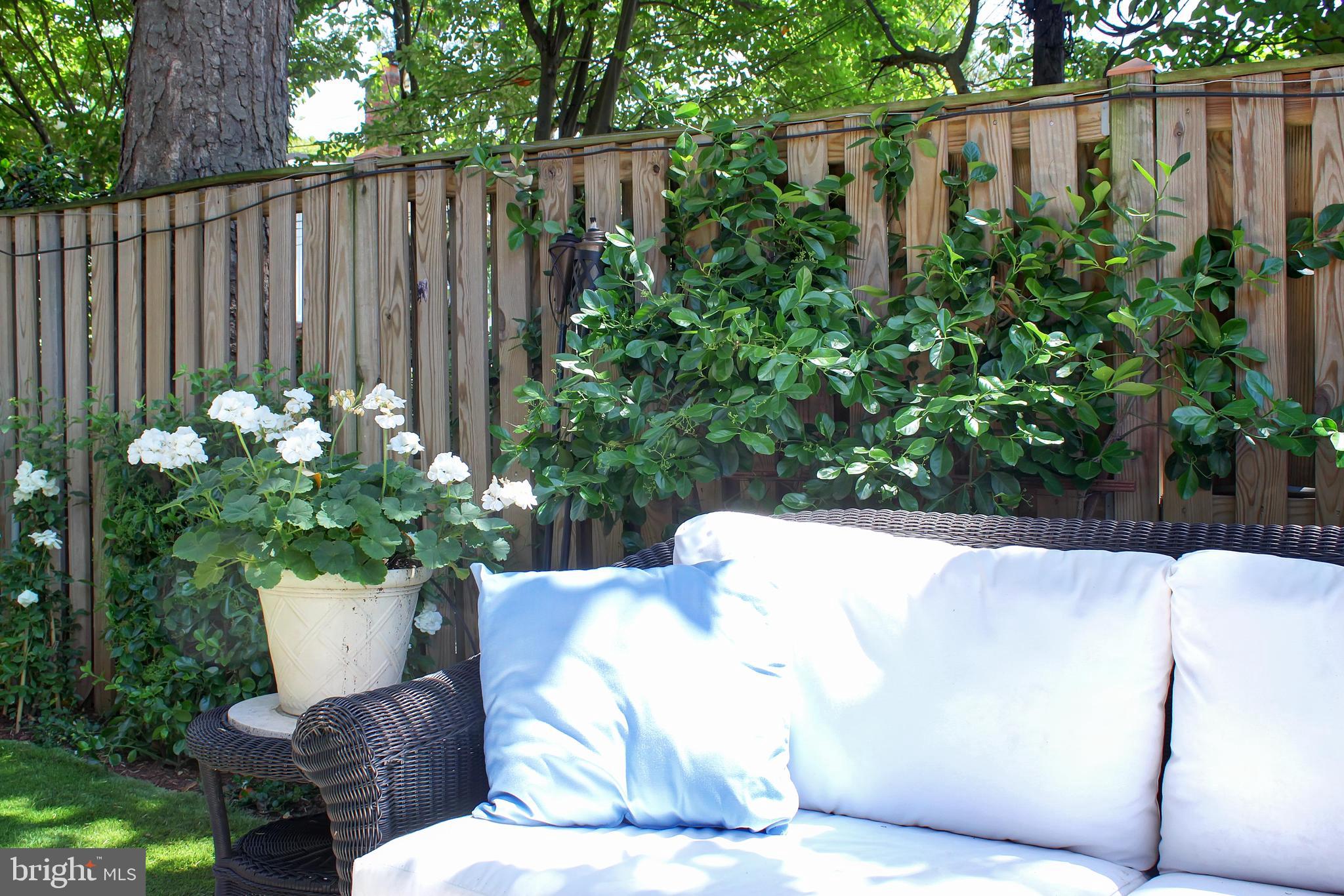 1614 34th Street Northwest Washington, DC 20007 - Photo 40 of 51