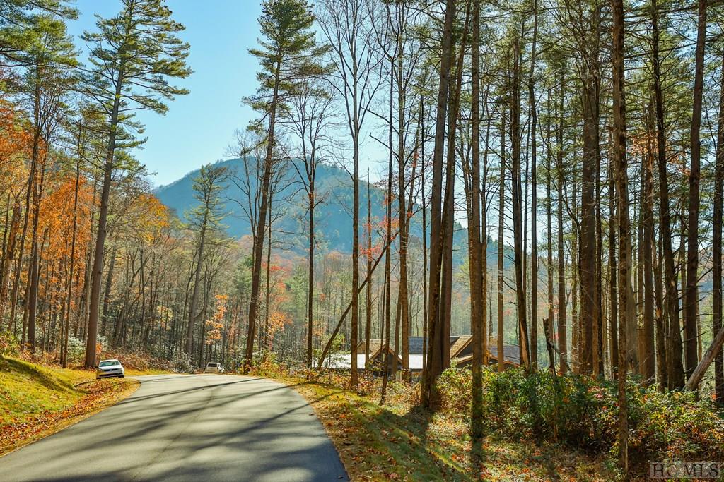 80 Flagstone Road Sapphire, NC 28774 - Photo 2 of 10 Gallery Image 2
