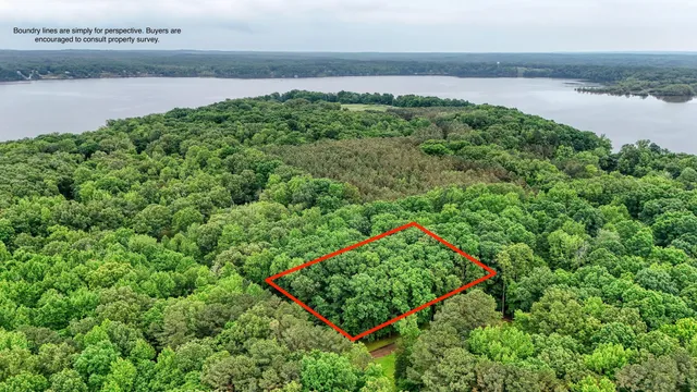a view of a back yard of the green and green space