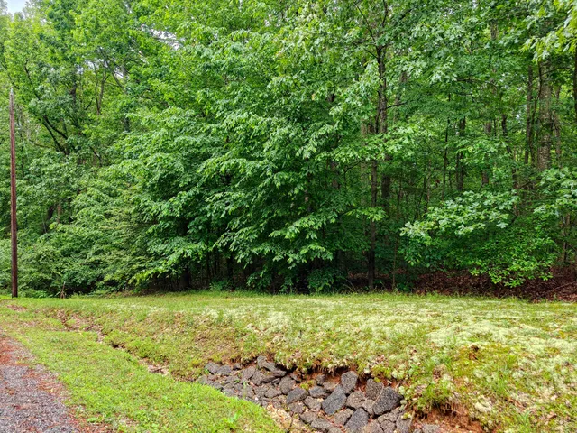 a view of yard with green space
