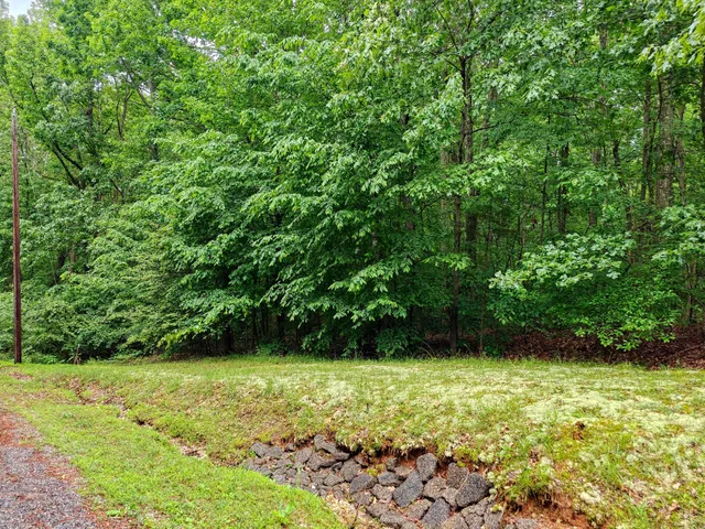 a view of yard with green space