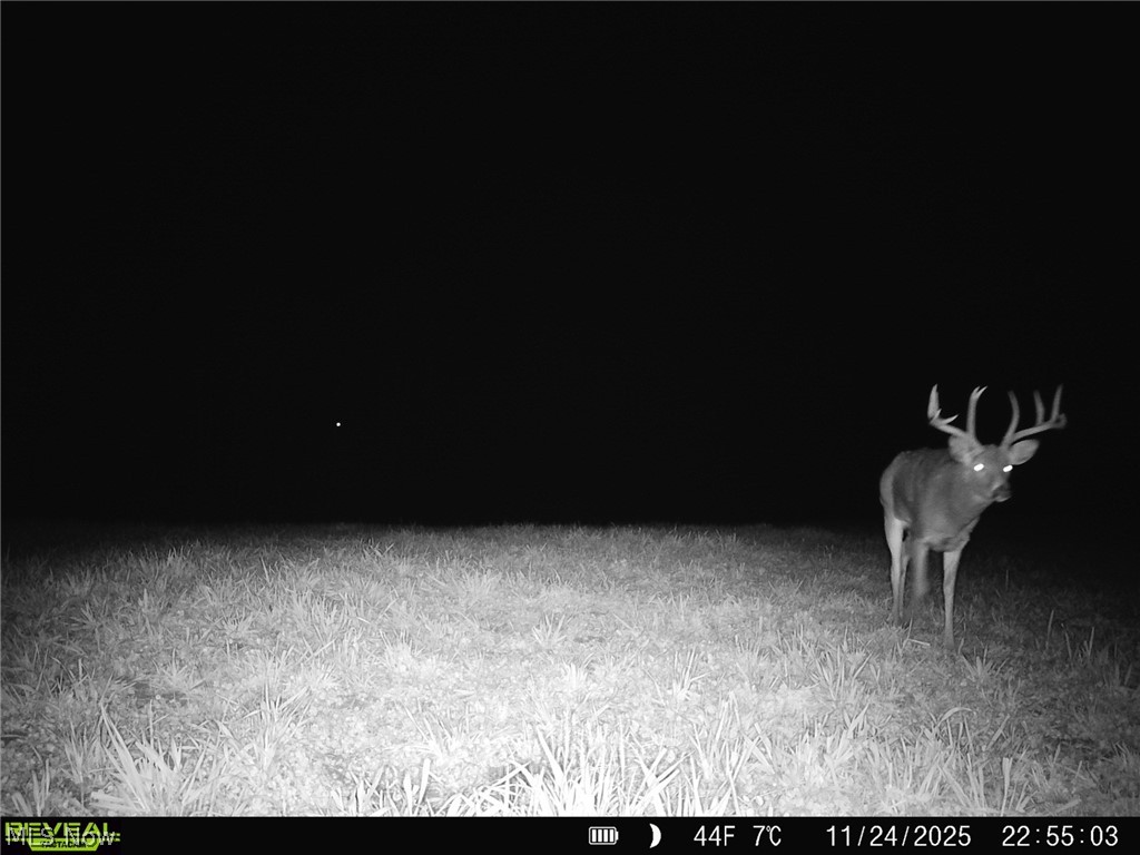 6268 Kings Ridge Road Newcomerstown, OH 43832 - Photo 42 of 46