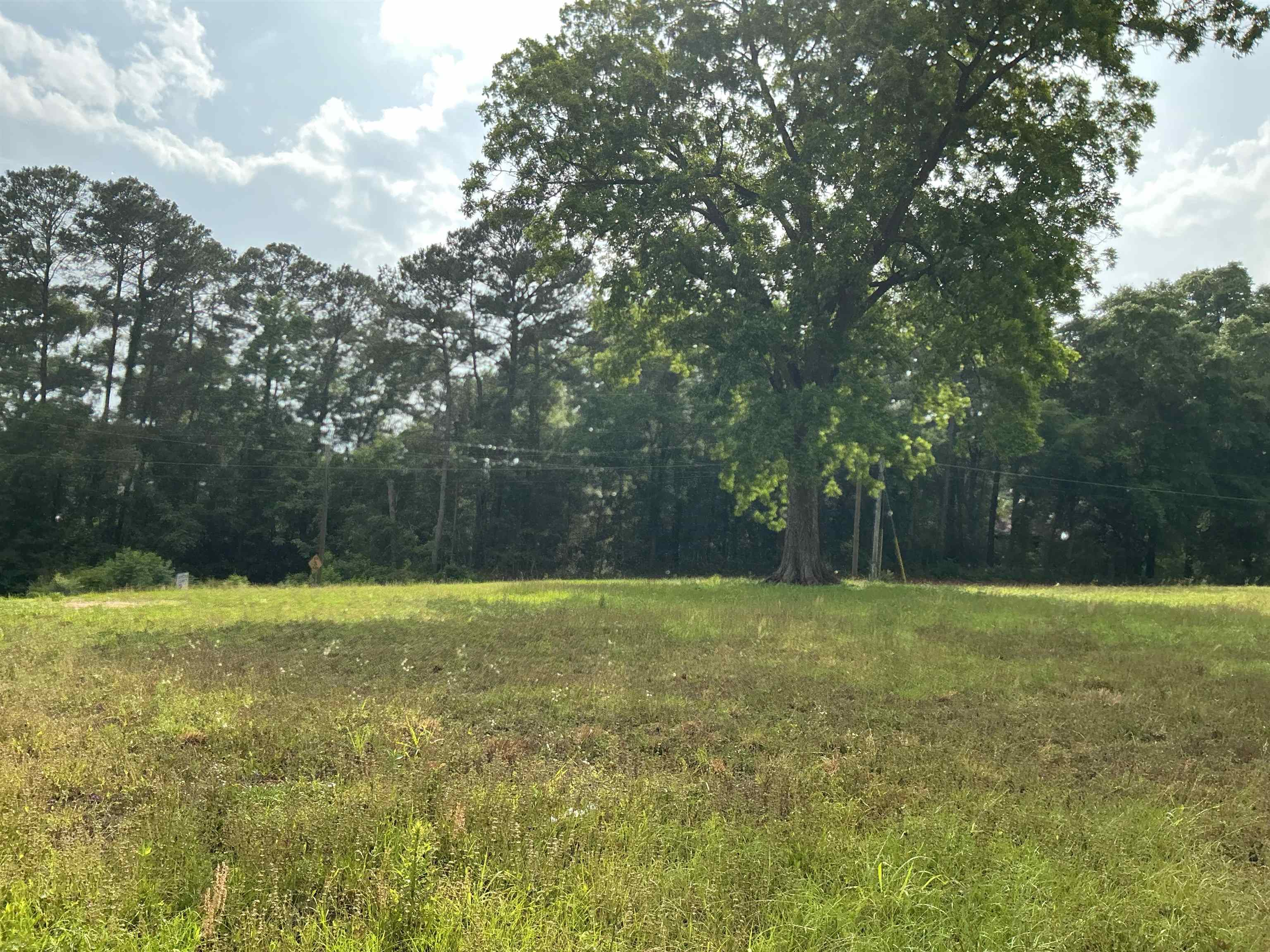 44 Mohawk Street Andalusia, AL 36421 - Photo 1 of 6 Gallery Image 1