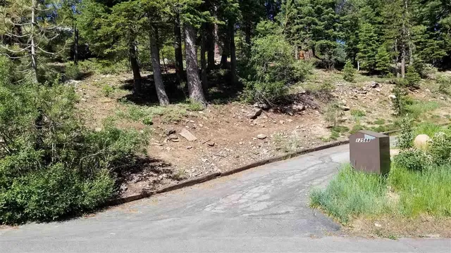 a view of a pathway with a yard