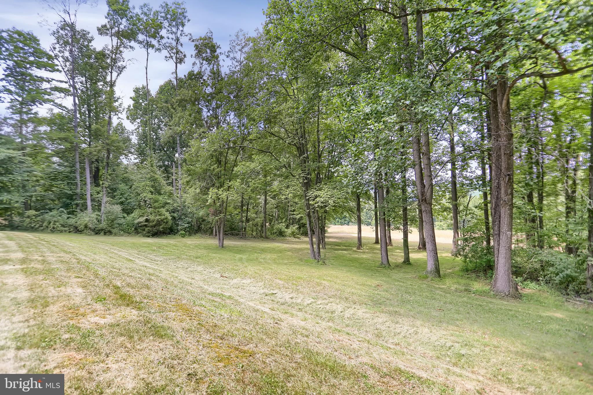 419 Wildcat Trail Liverpool, PA 17045 - Photo 18 of 129