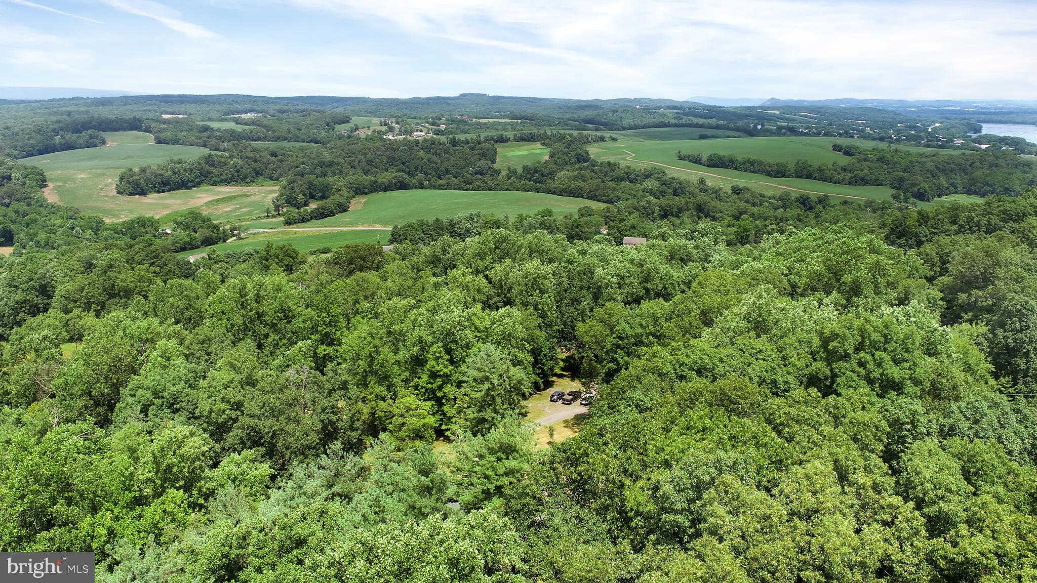 419 Wildcat Trail Liverpool, PA 17045 - Photo 31 of 129