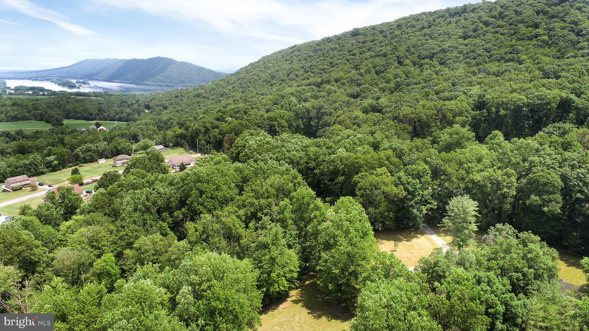 419 Wildcat Trail Liverpool, PA 17045 - Photo 32 of 129