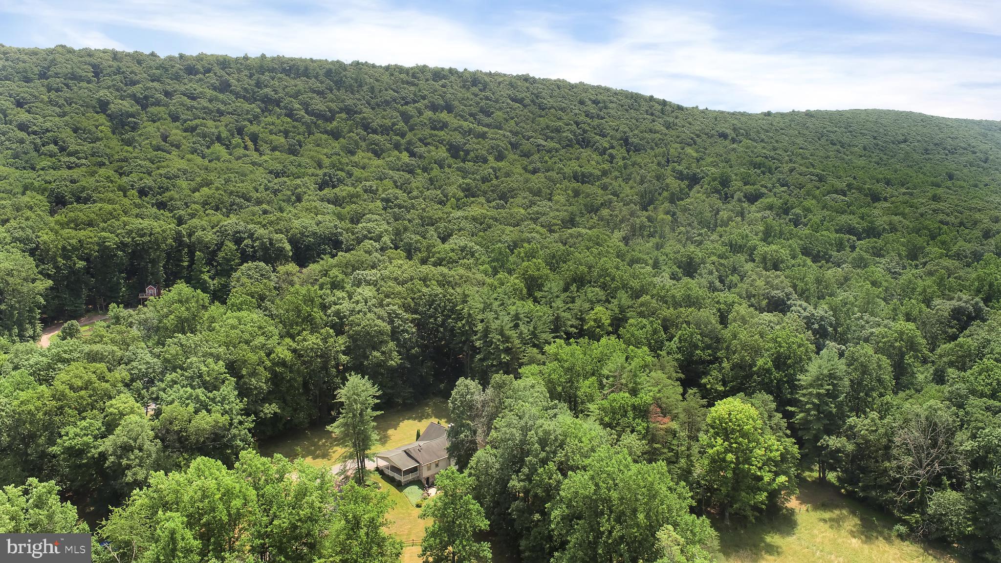 419 Wildcat Trail Liverpool, PA 17045 - Photo 33 of 129