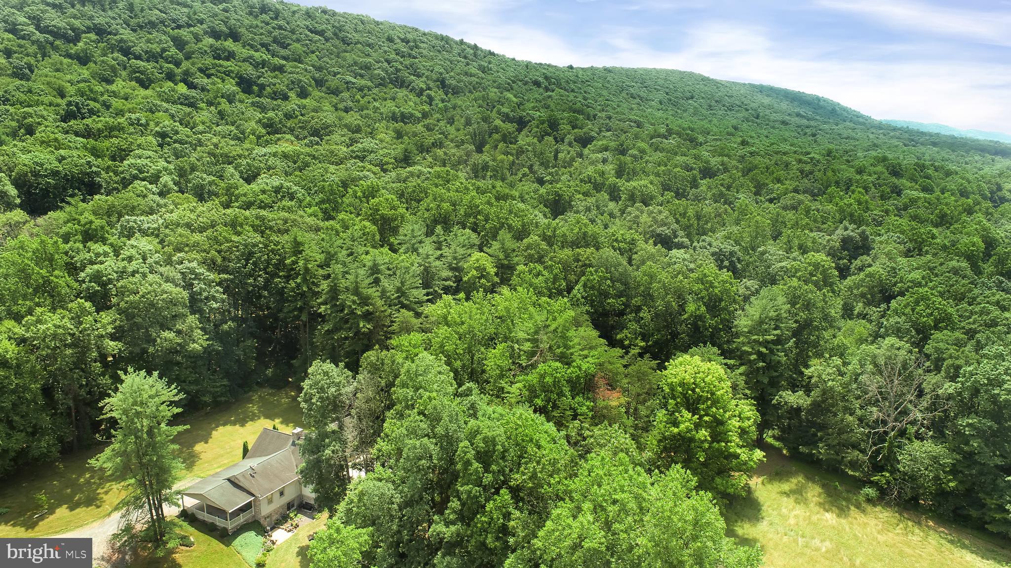 419 Wildcat Trail Liverpool, PA 17045 - Photo 35 of 129