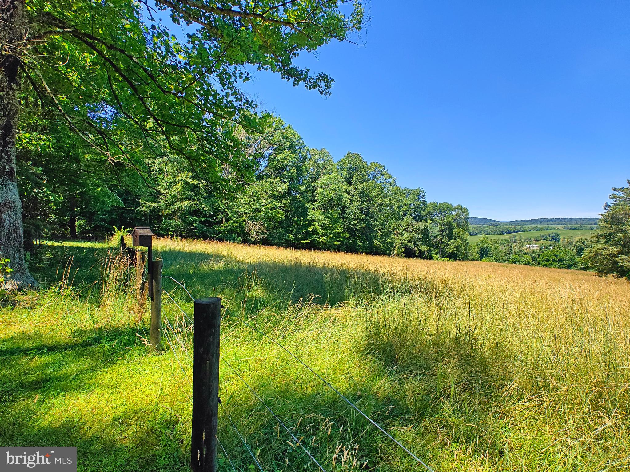 419 Wildcat Trail Liverpool, PA 17045 - Photo 52 of 129