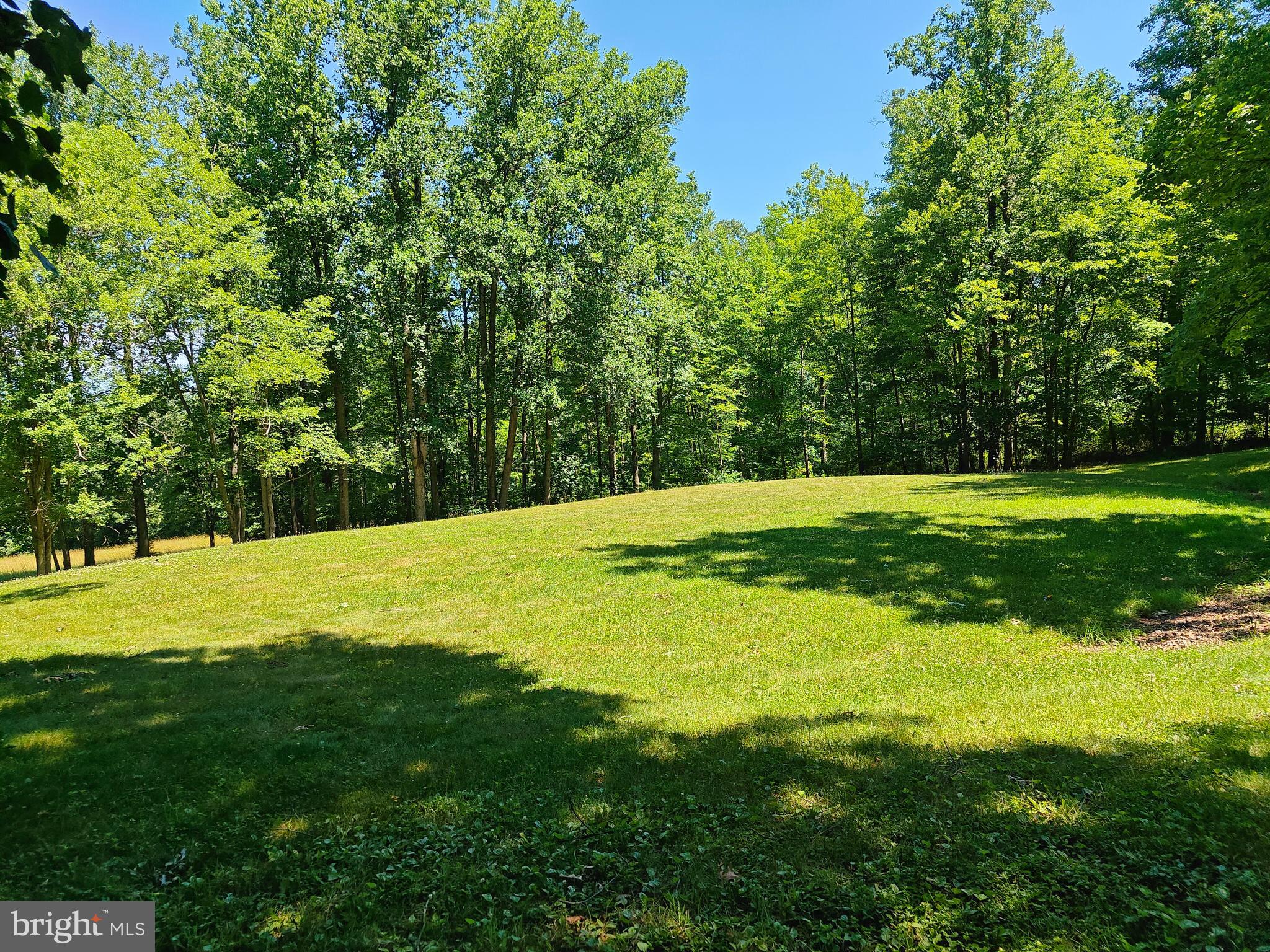 419 Wildcat Trail Liverpool, PA 17045 - Photo 55 of 129