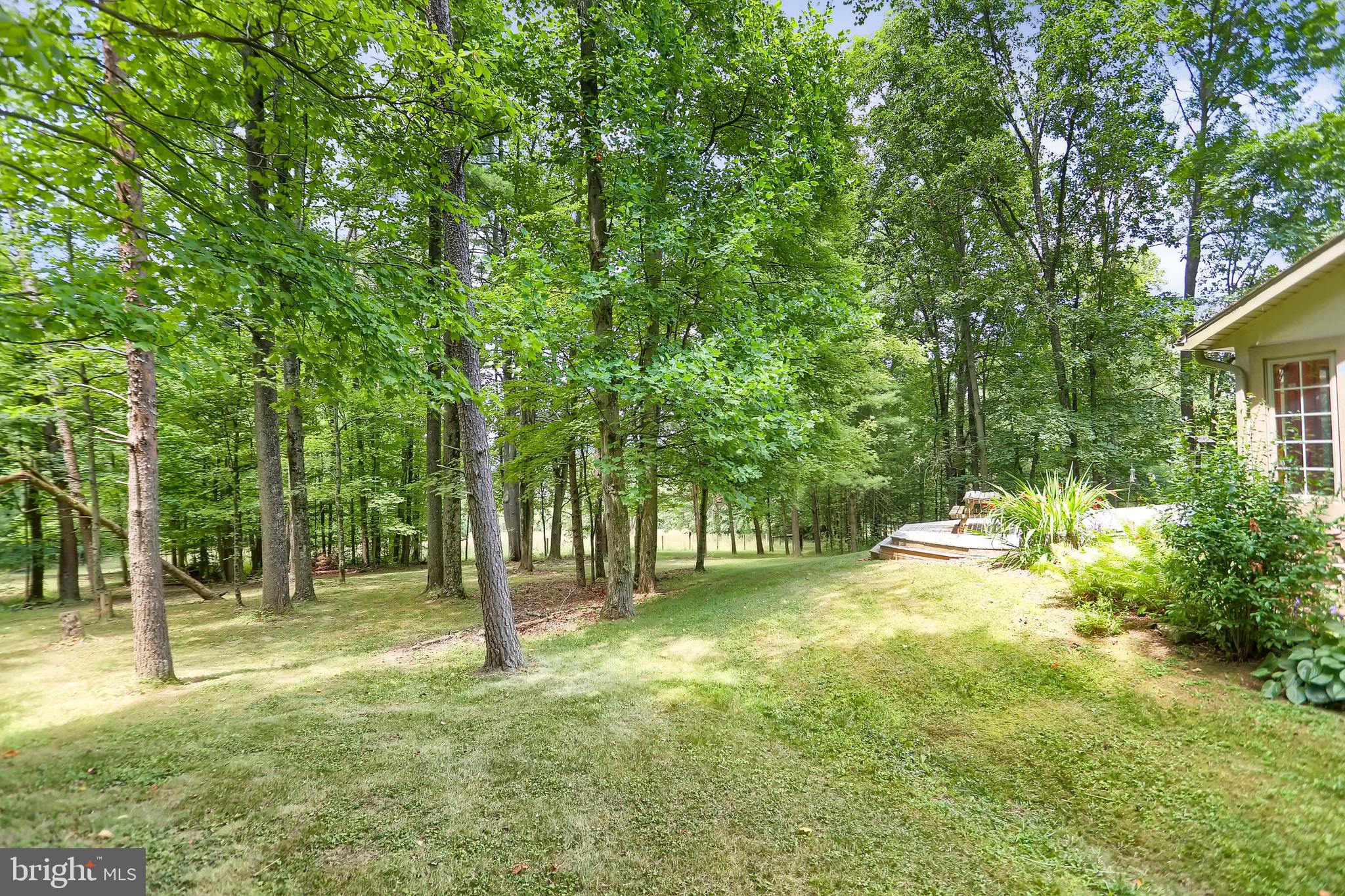 419 Wildcat Trail Liverpool, PA 17045 - Photo 6 of 129