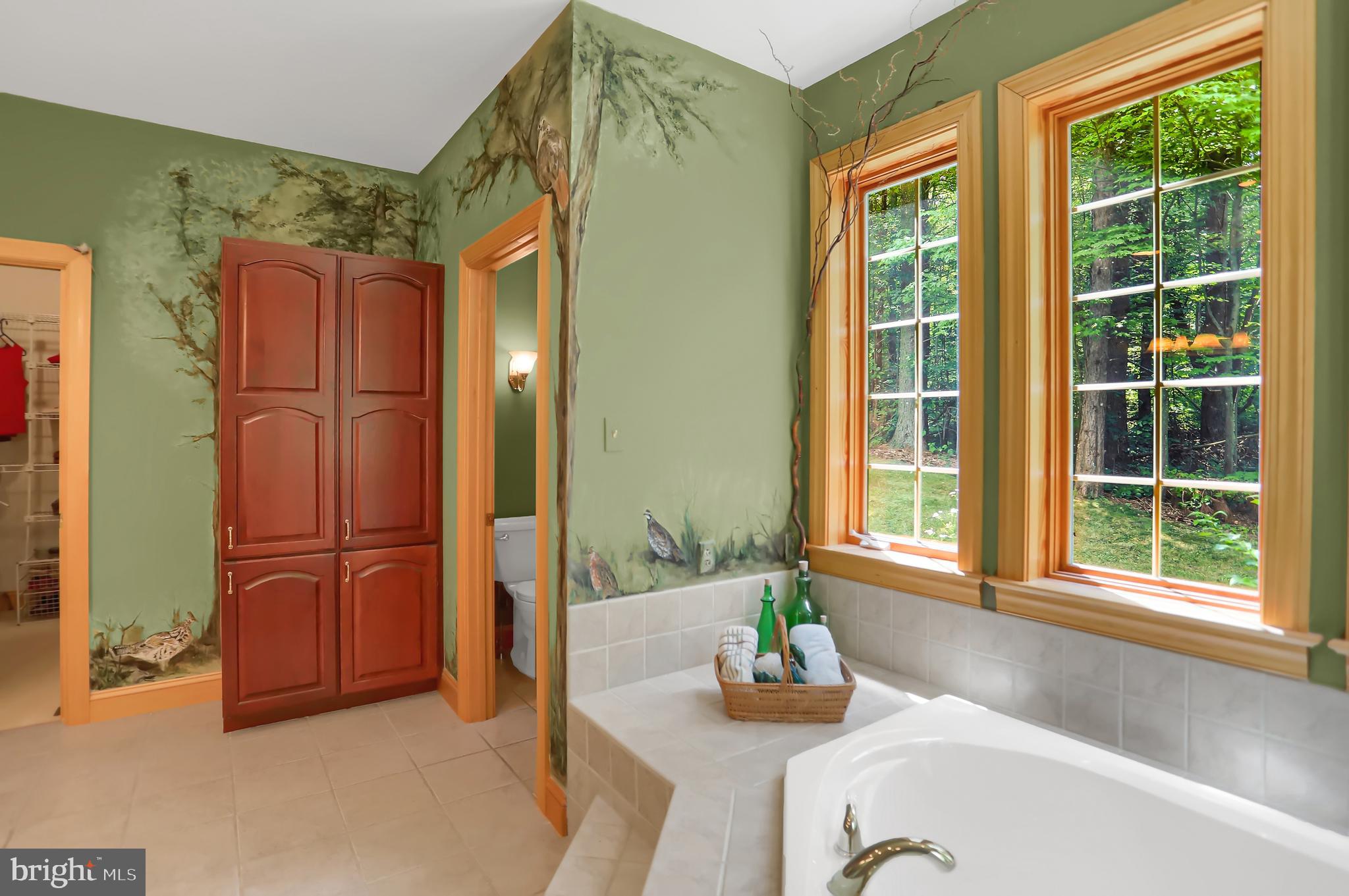 419 Wildcat Trail Liverpool, PA 17045 - Photo 73 of 129