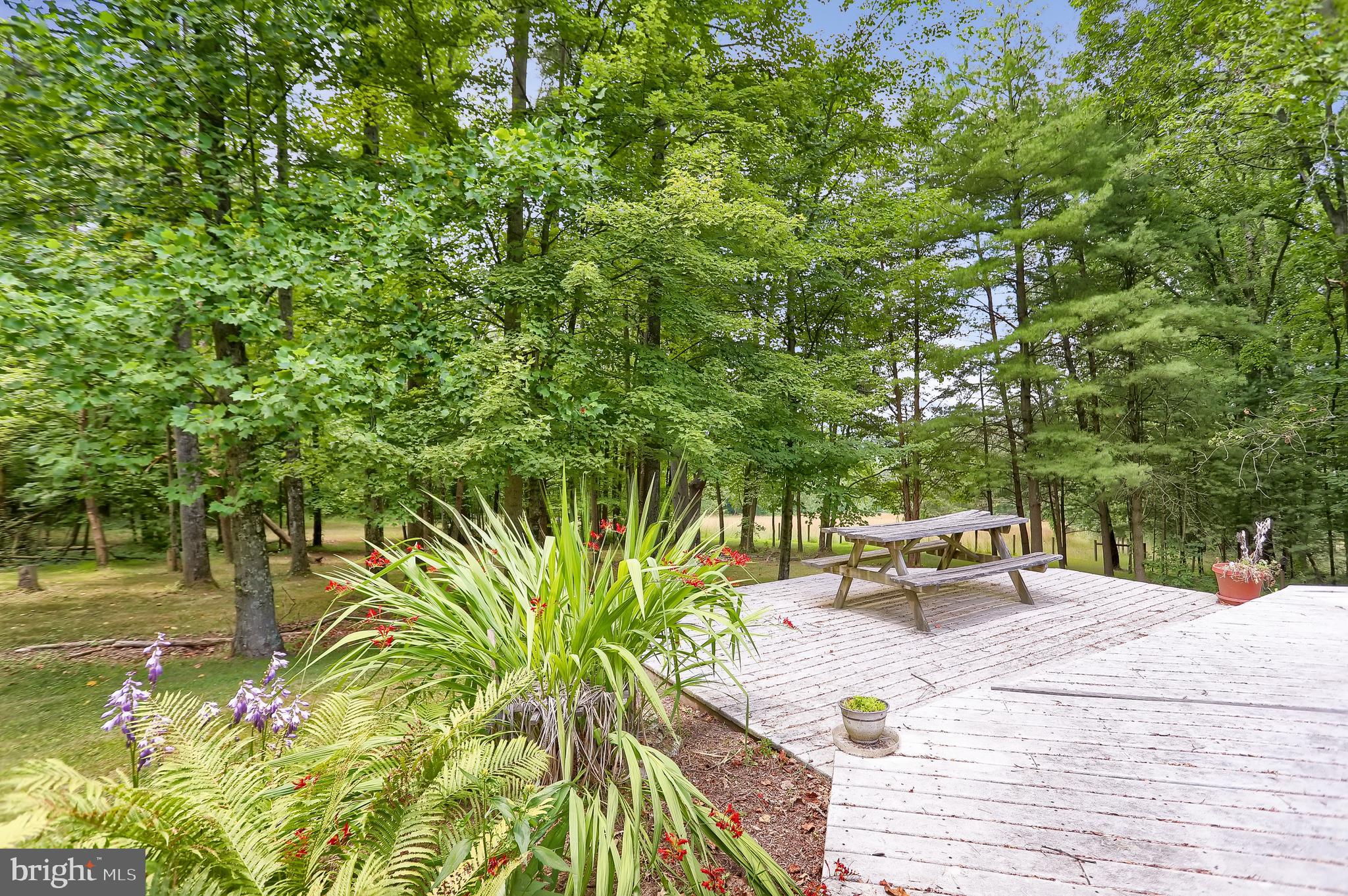 419 Wildcat Trail Liverpool, PA 17045 - Photo 8 of 129