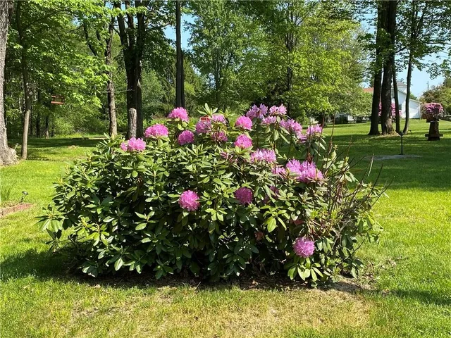 $29,900 | 20 Oberg Avenue, Mount Jewett, PA 16740