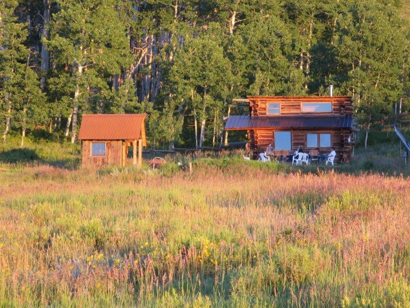 3520 County 58P Road Placerville, CO 81430 - Photo 20 of 76 a backyard of a house with lots of green space and fountain