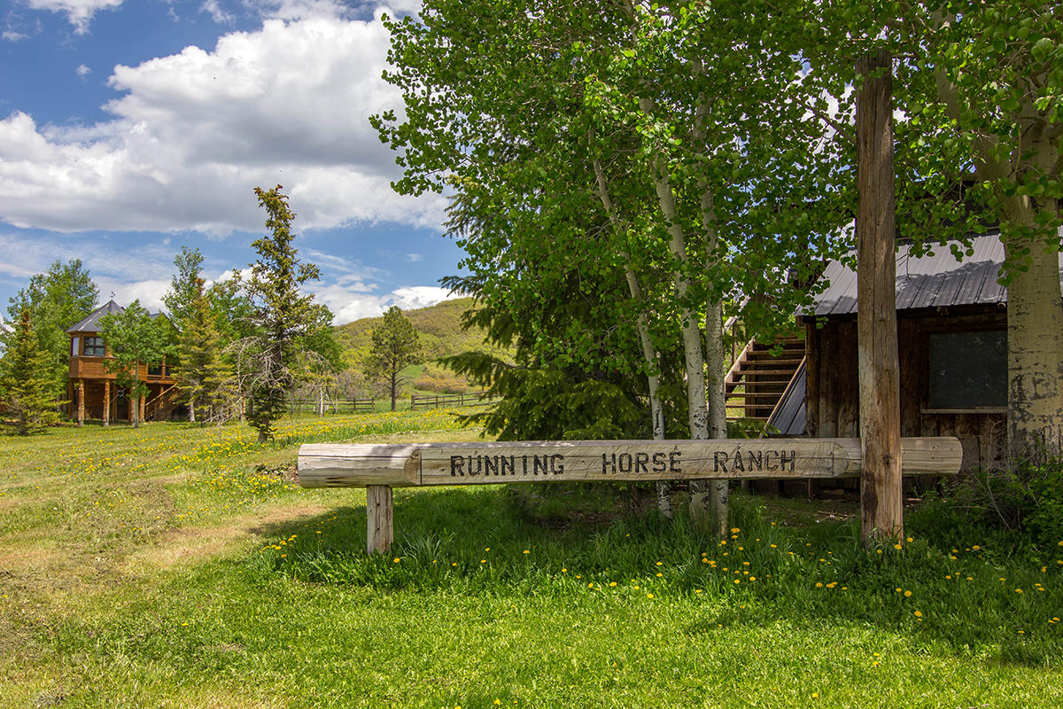 3520 County 58P Road Placerville, CO 81430 - Photo 2 of 76 Running Horse Ranch