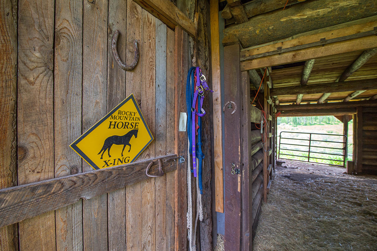 3520 County 58P Road Placerville, CO 81430 - Photo 23 of 76 Main Barn Tack Room