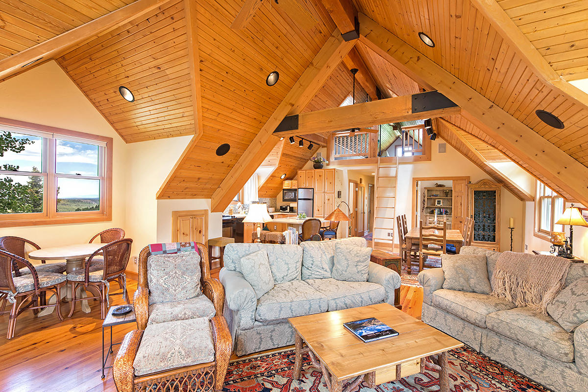3520 County 58P Road Placerville, CO 81430 - Photo 30 of 76 a living room with furniture a table and chairs