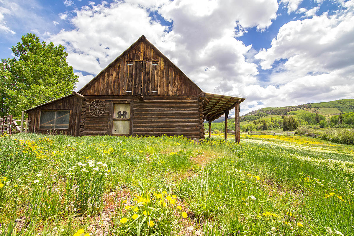 3520 County 58P Road Placerville, CO 81430 - Photo 4 of 76 Barn