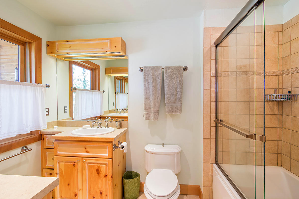 3520 County 58P Road Placerville, CO 81430 - Photo 41 of 76 a bathroom with a sink a toilet and shower