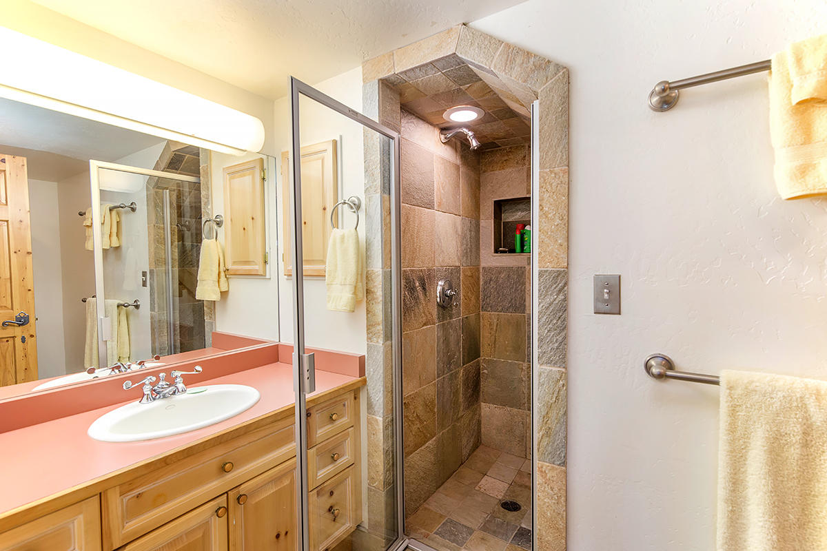 3520 County 58P Road Placerville, CO 81430 - Photo 47 of 76 a bathroom with a shower sink and mirror
