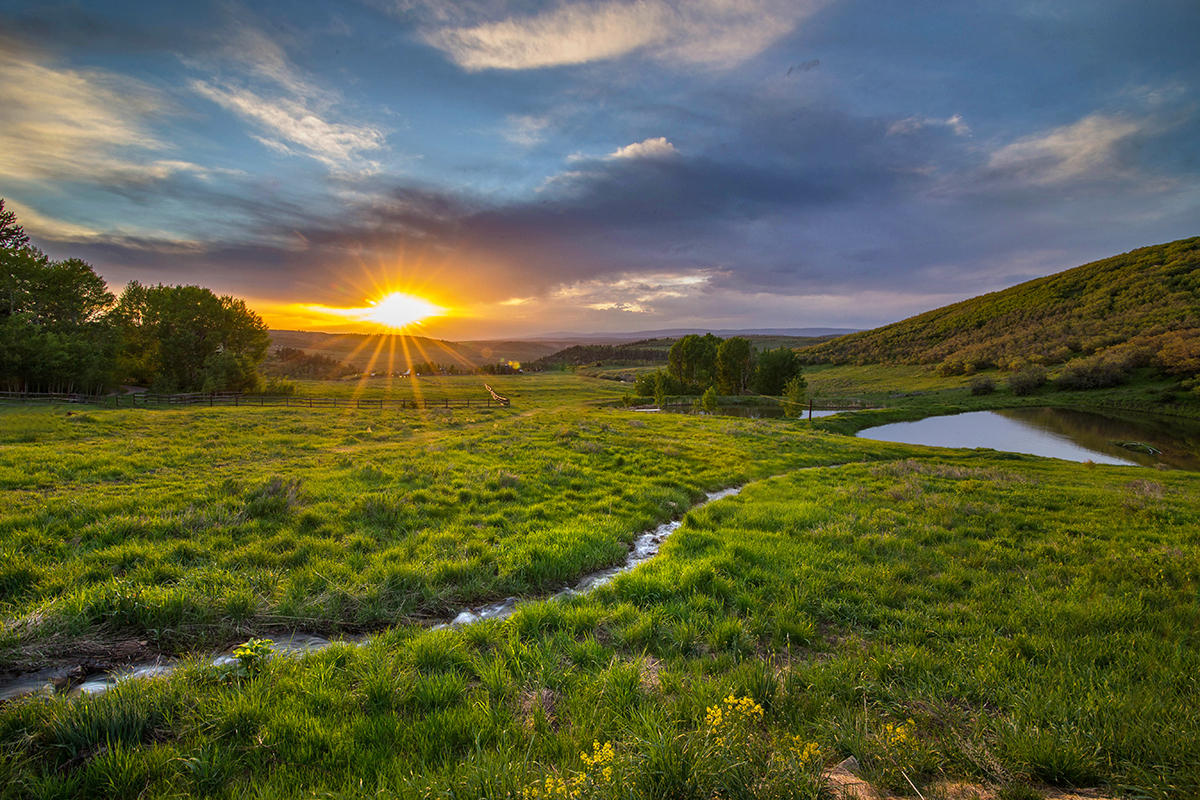 3520 County 58P Road Placerville, CO 81430 - Photo 48 of 76 a view of a big yard with lots of green space