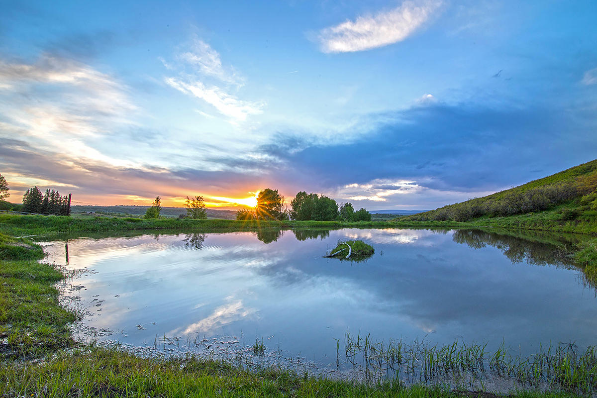 3520 County 58P Road Placerville, CO 81430 - Photo 49 of 76 Upper Pond Views to the West