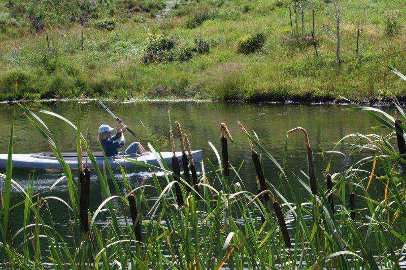 3520 County 58P Road Placerville, CO 81430 - Photo 53 of 76 a view of a lake with a park