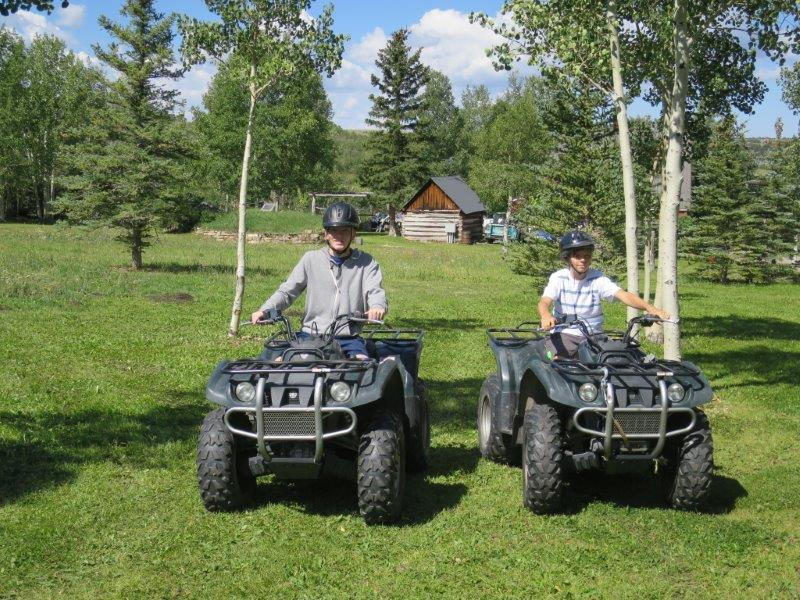 3520 County 58P Road Placerville, CO 81430 - Photo 61 of 76 a view of a house with backyard