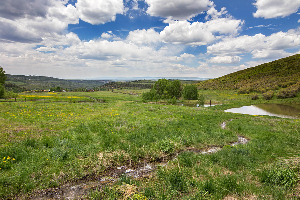 3520 County 58P Road Placerville, CO 81430 - Photo 7 of 76 a view of an ocean and a yard