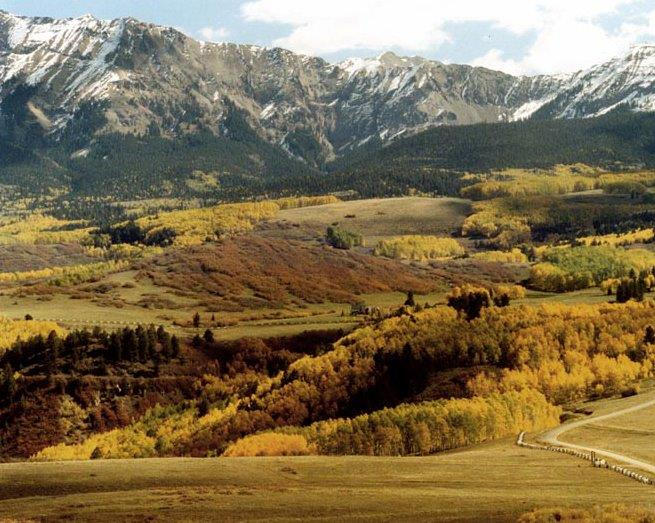 3520 County 58P Road Placerville, CO 81430 - Photo 73 of 76 Fall scenery