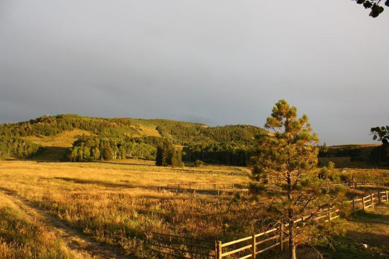 3520 County 58P Road Placerville, CO 81430 - Photo 74 of 76 a view of ocean with mountain
