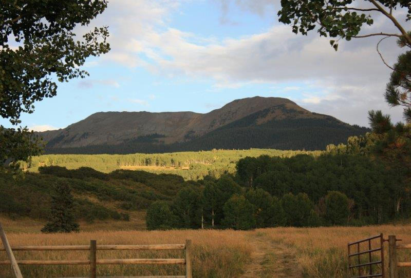 3520 County 58P Road Placerville, CO 81430 - Photo 75 of 76 View