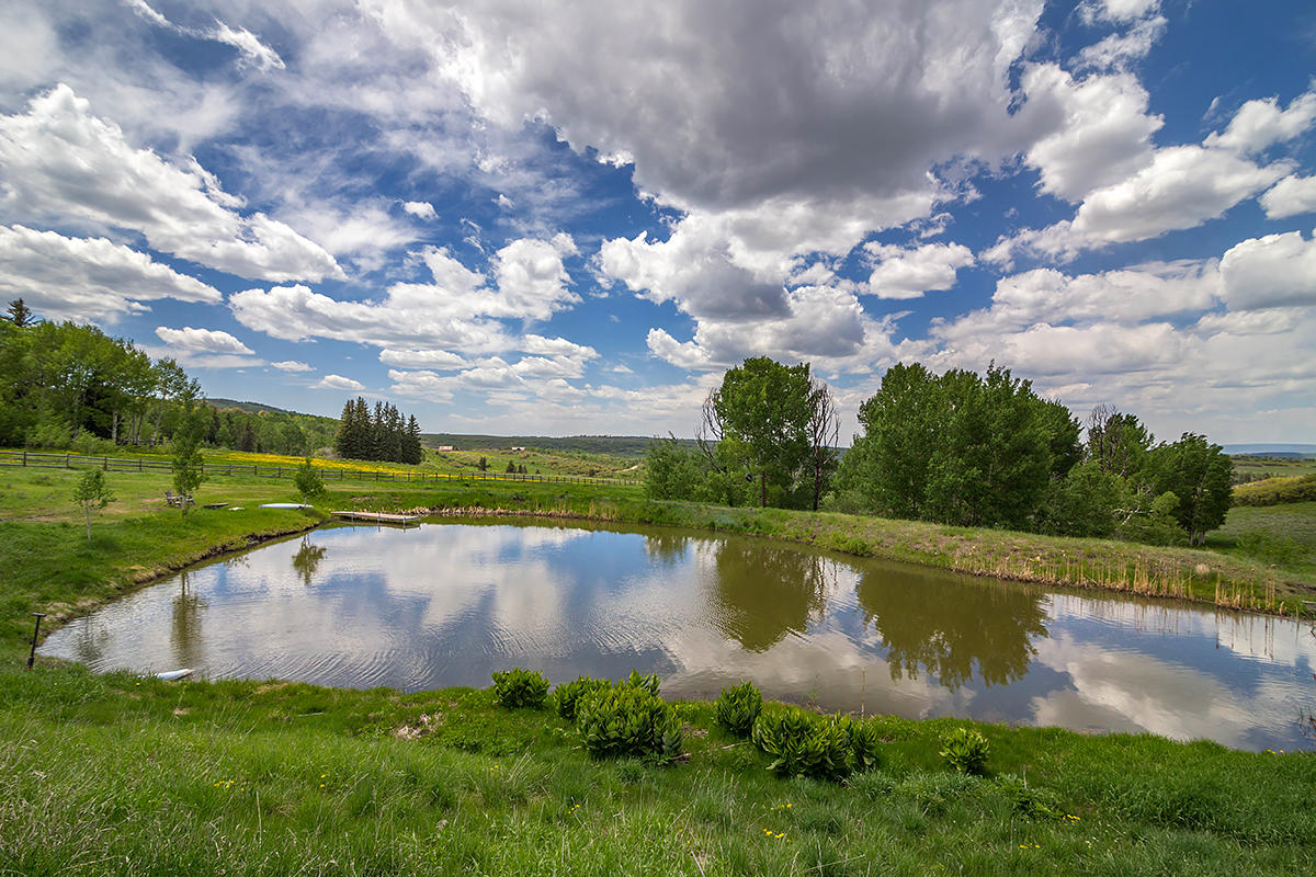 3520 County 58P Road Placerville, CO 81430 - Photo 9 of 76 a view of a lake with a yard