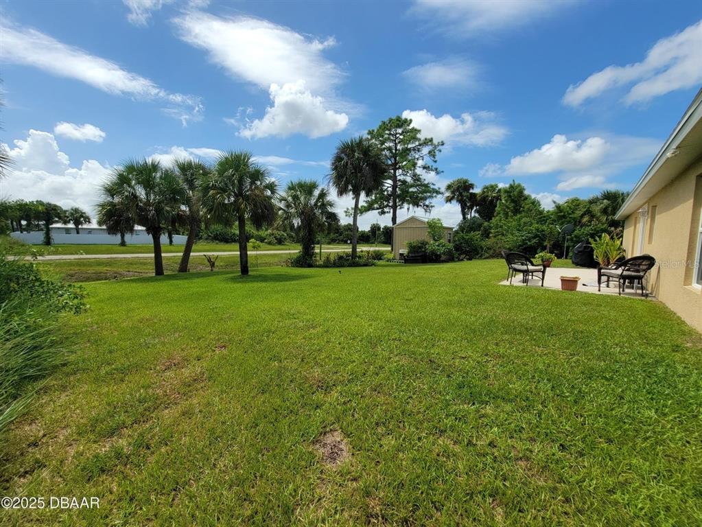 5023 Littlefield Road LaBelle, FL 33935 - Photo 26 of 36 a view of yard with grass & palm trees
