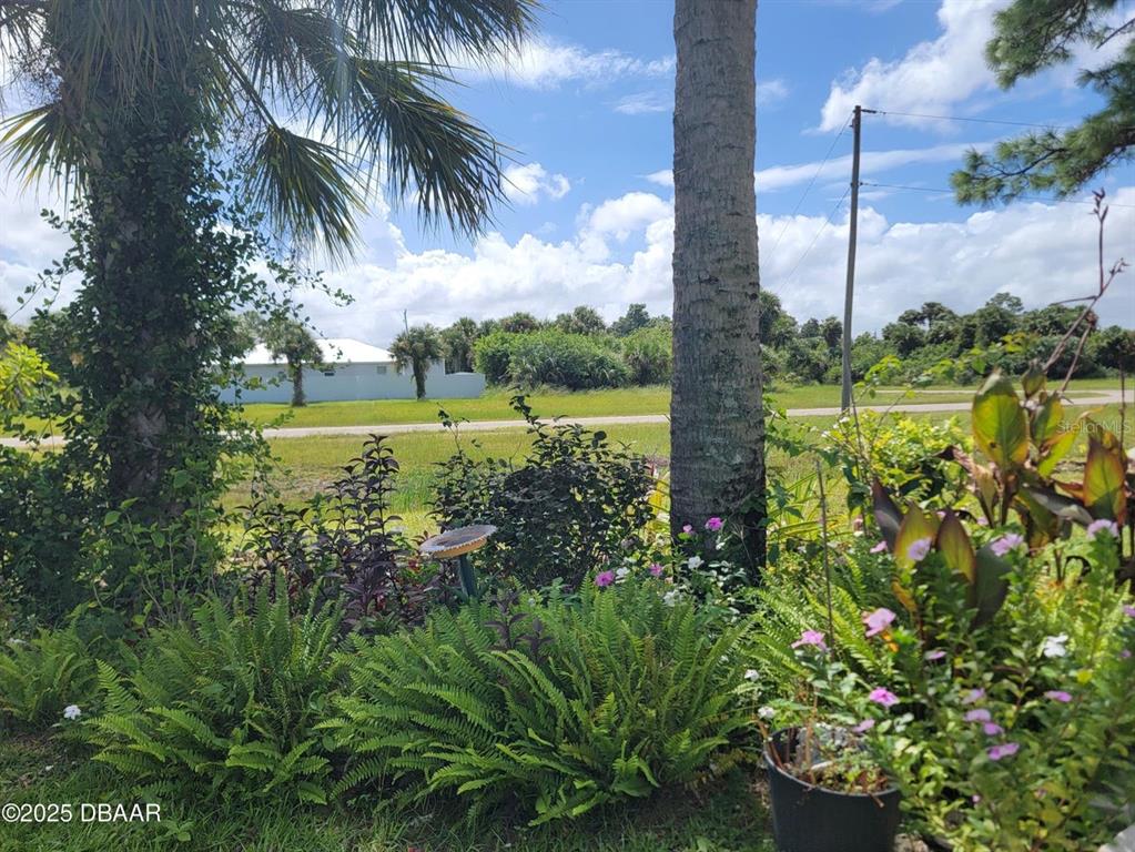 5023 Littlefield Road LaBelle, FL 33935 - Photo 30 of 36 a view of a lake with a tree