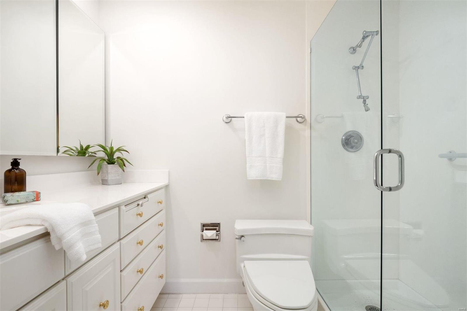 816 South Hanley Road, Unit 2A Clayton, MO 63105 - Photo 16 of 27 Gallery Image 16